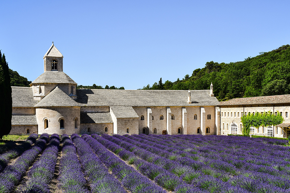 5 Charming Days in Provence